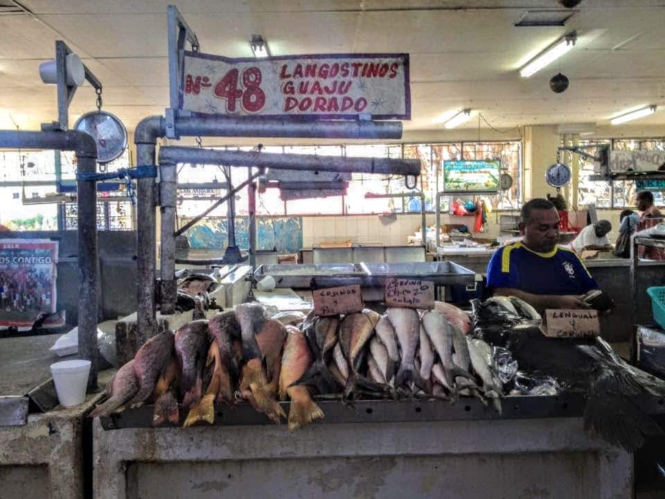 mercado_de_mariscos_panama